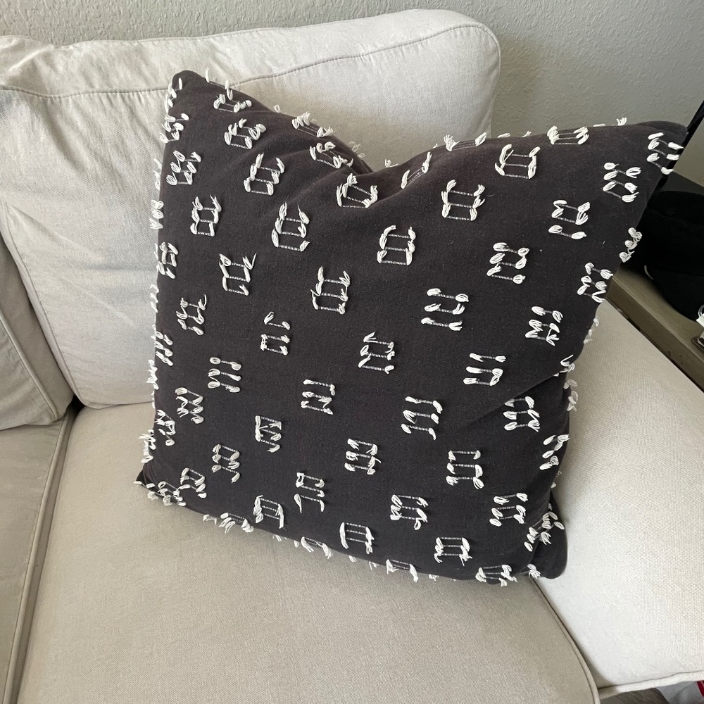 Large throw pillow - 20in x 20in